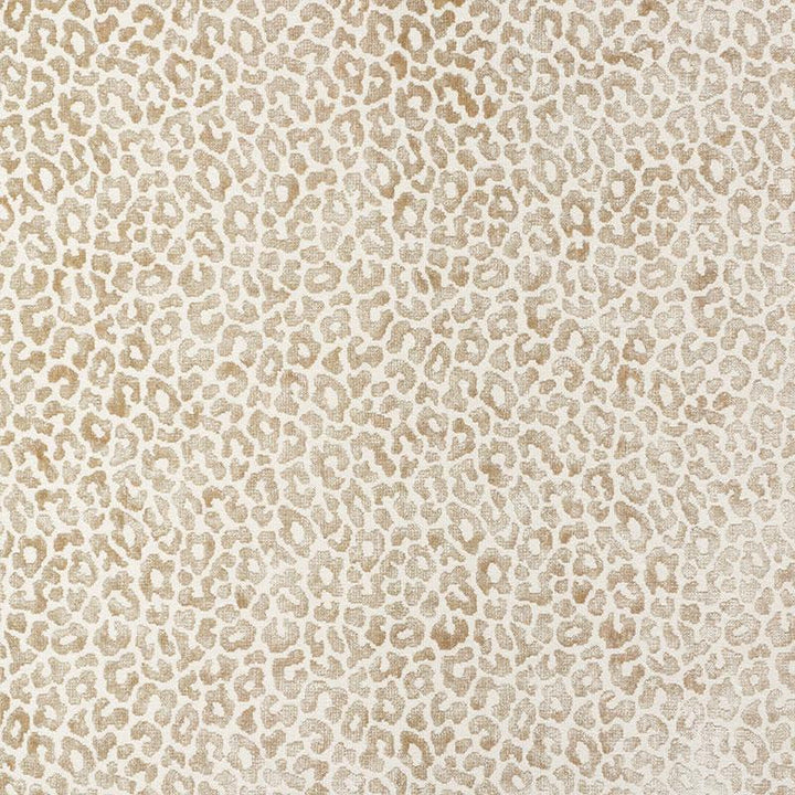 Madeleine Velvet Natural 68826 by Schumacher Designer Fabric Cut & Patterned Velvets 4.0" - Swanky Fabrics -