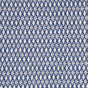 Zoila Blue 71861 by Schumacher Designer Fabric
