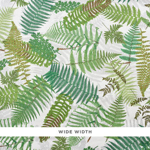 Fernarium Ivory & Leaf 5009190 by Schumacher Designer Wallpaper