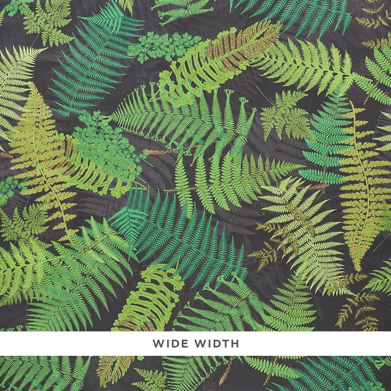 Fernarium Black & Leaf 5009191 by Schumacher Designer Wallpaper Clements Ribeiro 53.75" - Swanky Fabrics -