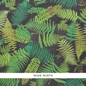 Fernarium Black & Leaf 5009191 by Schumacher Designer Wallpaper