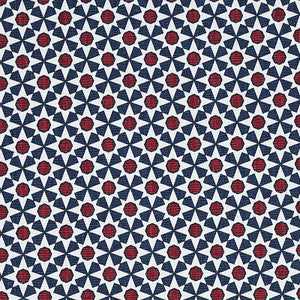 Serendipity Navy & Red 176423 by Schumacher Designer Fabric