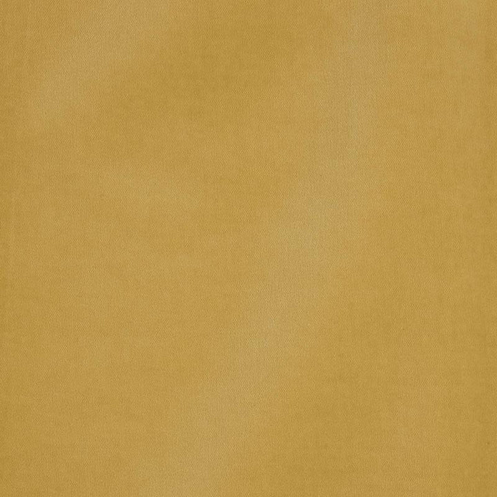 Rocky Performance Velvet Bronze 70501 by Schumacher Designer Fabric Perfect Basics: Velvet - Swanky Fabrics -