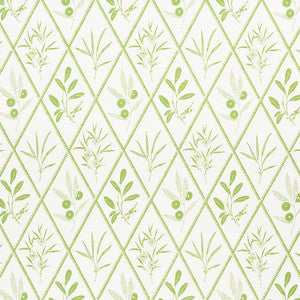 Endimione Leaf 177641 by Schumacher Designer Fabric