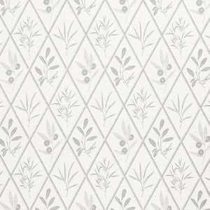 Endimione Grey 177642 by Schumacher Designer Fabric