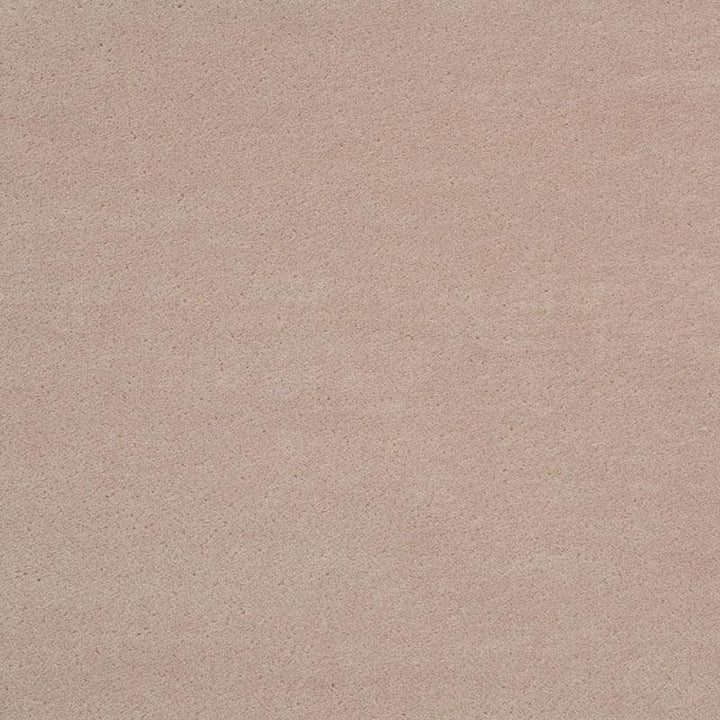 Regal Mohair Parchment 73685 by Schumacher Designer Fabric Perfect Basics: Velvet - Swanky Fabrics -