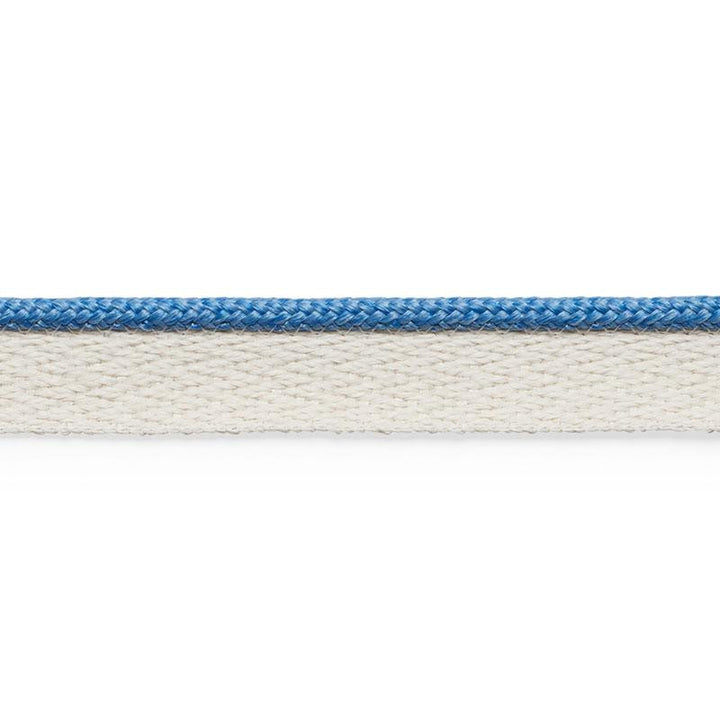 Coleman Lip Cord Delft 74925 by Schumacher Designer Trim Perfect Basics: Outdoor Trims - Swanky Fabrics -