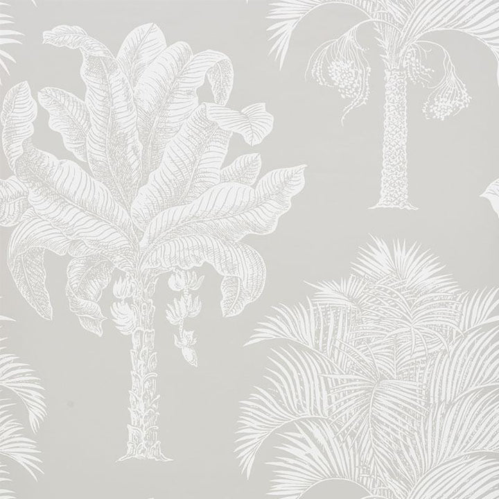 Grand Palms Dove 5009622 by Schumacher Designer Wallpaper New Traditional 27.0" - Swanky Fabrics -