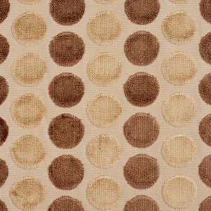 20780-01 by Charlotte Designer Fabric