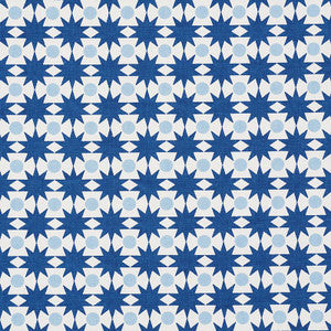 Cosmos Blue 177060 by Schumacher Designer Fabric