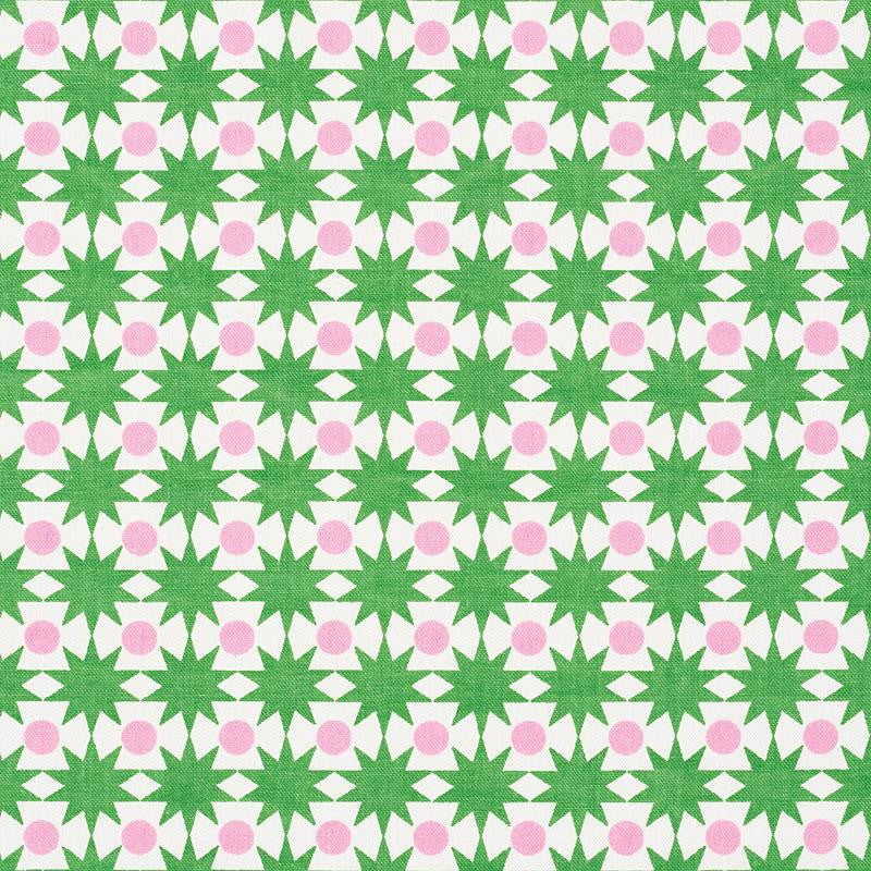 Cosmos Watermelon 177061 by Schumacher Designer Fabric Studio Bon 1.0" - Swanky Fabrics -