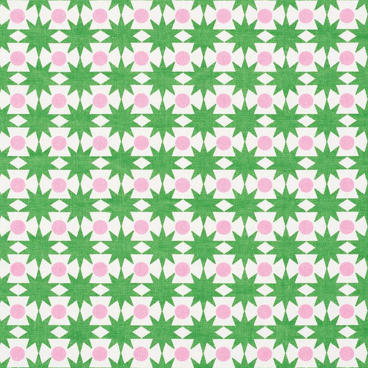 Cosmos Watermelon 177061 by Schumacher Designer Fabric Studio Bon 1.0" - Swanky Fabrics -