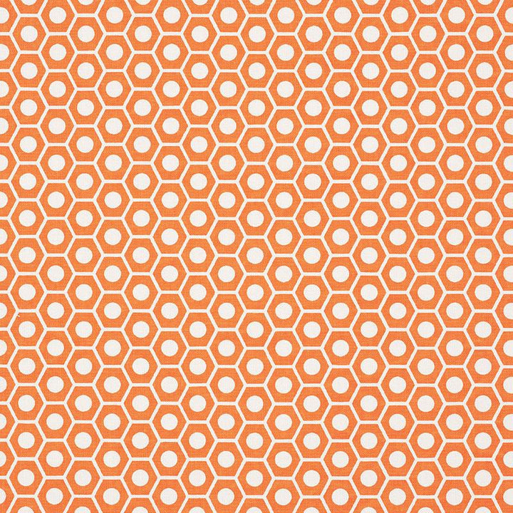 Queen B Orange 177073 by Schumacher Designer Fabric Studio Bon 1.25" - Swanky Fabrics -
