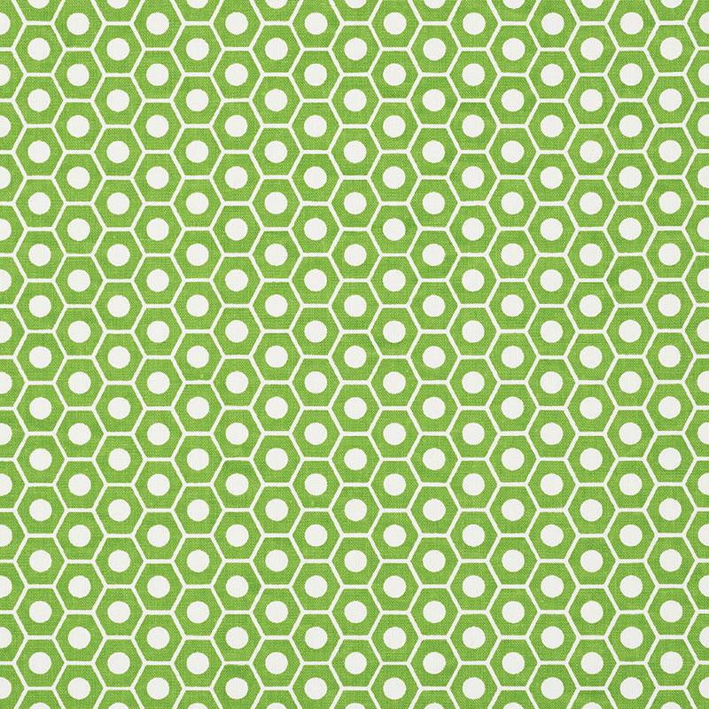 Queen B Green 177075 by Schumacher Designer Fabric Studio Bon 1.25" - Swanky Fabrics -