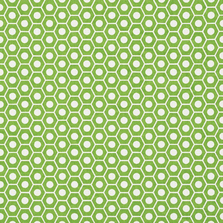 Queen B Green 177075 by Schumacher Designer Fabric Studio Bon 1.25" - Swanky Fabrics -