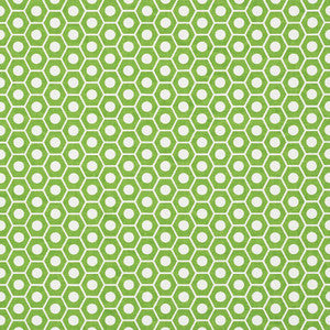 Queen B Green 177075 by Schumacher Designer Fabric