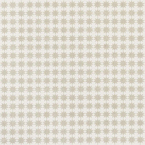 Stella Taupe 177081 by Schumacher Designer Fabric