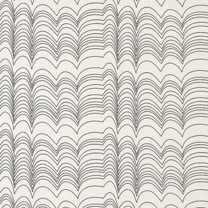 Richter Indoor/Outdoor Black 177112 by Schumacher Designer Fabric