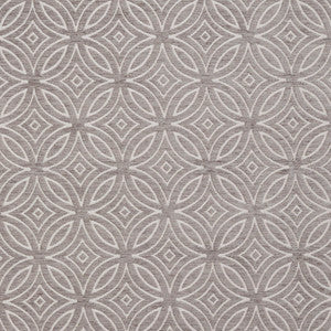 20810-01 by Charlotte Designer Fabric