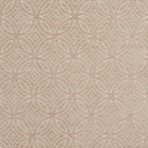 20810-03 by Charlotte Designer Fabric