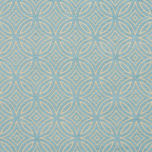 20810-04 by Charlotte Designer Fabric