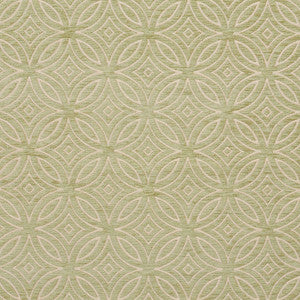 20810-06 by Charlotte Designer Fabric