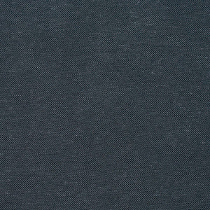 20900-02 by Charlotte Designer Fabric
