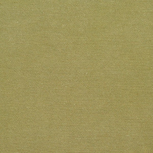 20900-03 by Charlotte Designer Fabric