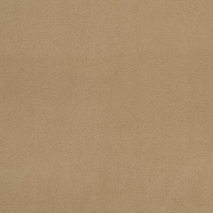 20940-14 by Charlotte Designer Fabric Crypton Woven Velvet 100% Woven Polyester Made In USA Exceeds 200,000 Wyzenbeek Rubs (Heavy Duty) No Repeat 54 Inches - Swanky Fabrics -