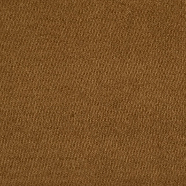 20940-21 by Charlotte Designer Fabric Crypton Woven Velvet 100% Woven Polyester Made In USA Exceeds 200,000 Wyzenbeek Rubs (Heavy Duty) No Repeat 54 Inches - Swanky Fabrics -