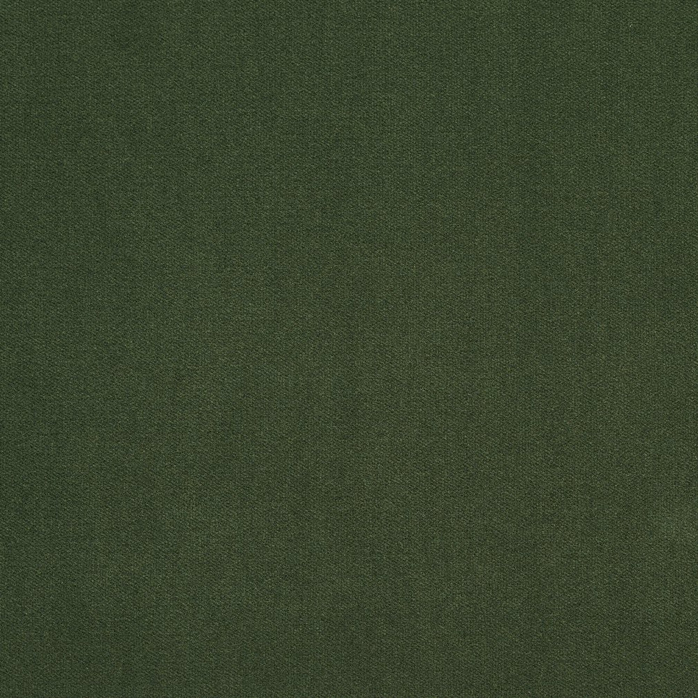 20940-25 by Charlotte Designer Fabric Crypton Woven Velvet 100% Woven Polyester Made In USA Exceeds 200,000 Wyzenbeek Rubs (Heavy Duty) </p><p>Repeat: No Repeat 54 Inches - Swanky Fabrics -