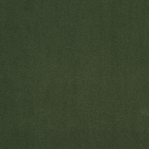 20940-25 by Charlotte Designer Fabric