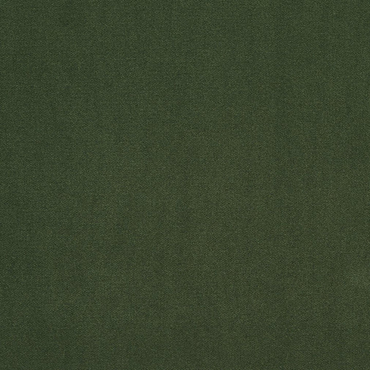 20940-25 by Charlotte Designer Fabric Crypton Woven Velvet 100% Woven Polyester Made In USA Exceeds 200,000 Wyzenbeek Rubs (Heavy Duty) No Repeat 54 Inches - Swanky Fabrics -