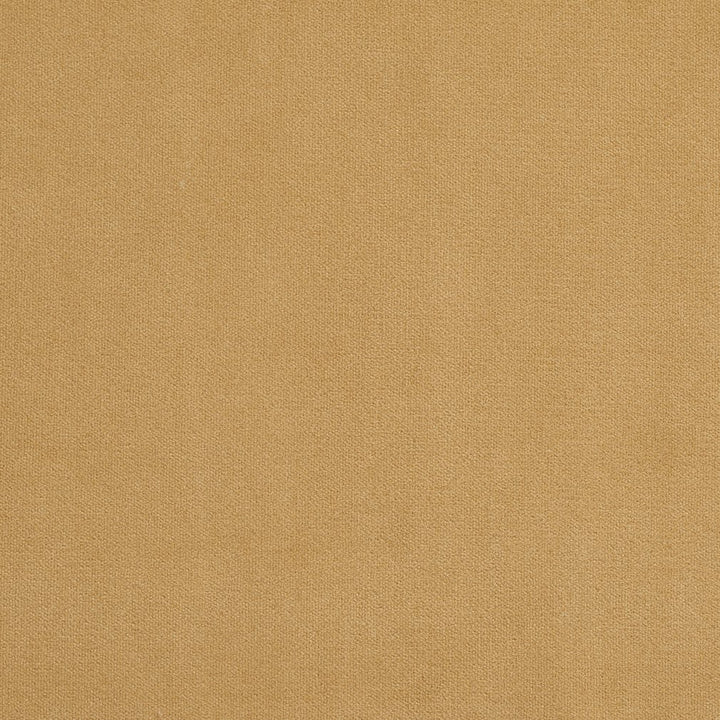 20940-26 by Charlotte Designer Fabric Crypton Woven Velvet 100% Woven Polyester Made In USA Exceeds 200,000 Wyzenbeek Rubs (Heavy Duty) </p><p>Repeat: 54 Inches - Swanky Fabrics -