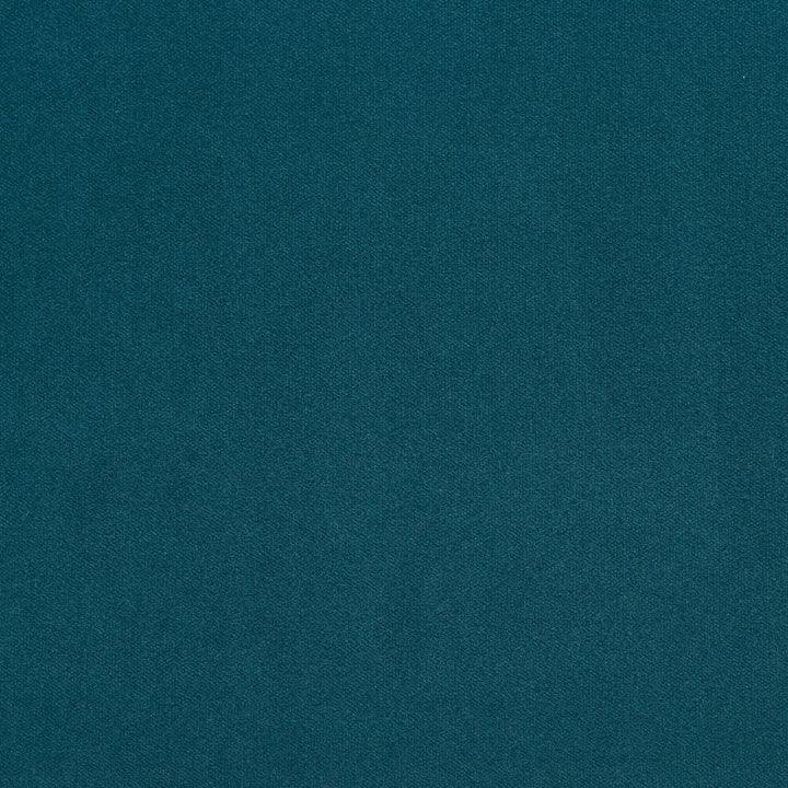 20940-28 by Charlotte Designer Fabric Crypton Woven Velvet 100% Woven Polyester Made In USA Exceeds 200,000 Wyzenbeek Rubs (Heavy Duty) No Repeat 54 Inches - Swanky Fabrics -