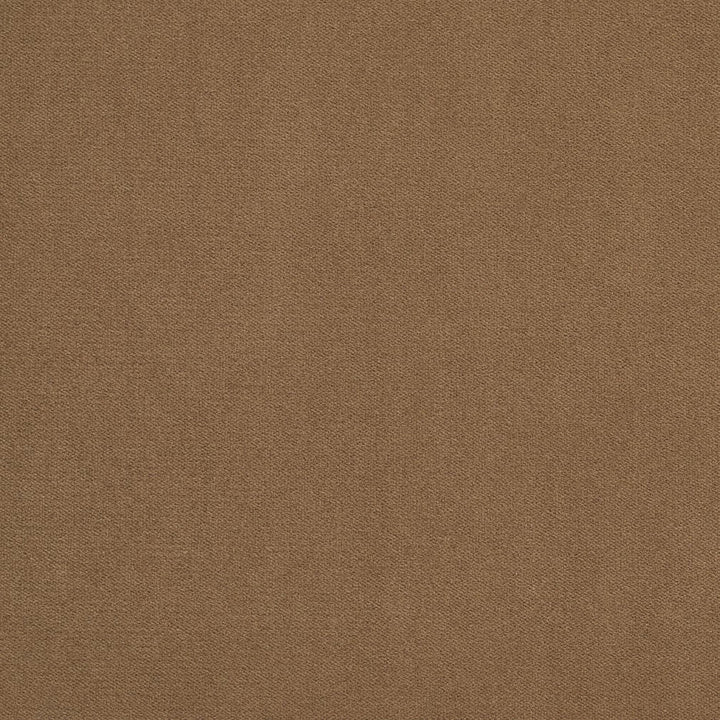 20940-35 by Charlotte Designer Fabric Crypton Woven Velvet 100% Woven Polyester Made In USA Exceeds 200,000 Wyzenbeek Rubs (Heavy Duty) No Repeat 54 Inches - Swanky Fabrics -