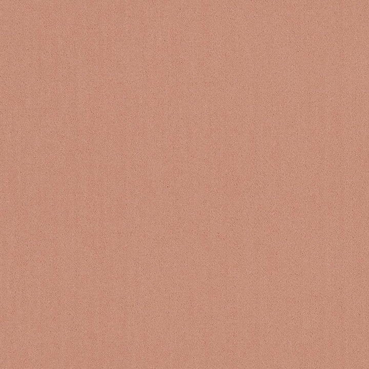 20950-09 by Charlotte Designer Fabric Faux Mohair 100% Woven Polyester Mohair Asia Exceeds 100,000 Wyzenbeek Rubs (Heavy Duty) No Repeat 54 Inches - Swanky Fabrics -