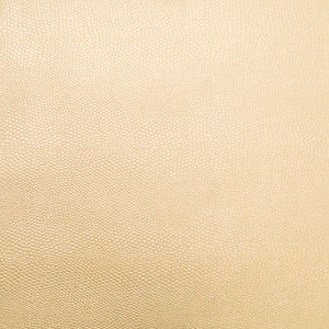 Pioneer 20 by Europatex Designer Fabric