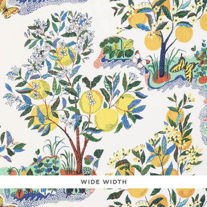 Citrus Garden Sheer Primary 178350 by Schumacher Designer Fabric