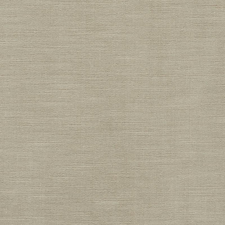 Antique Linen Velvet Ii Stone 75705 by Schumacher Designer Fabric Perfect Basics: Velvet - Swanky Fabrics -