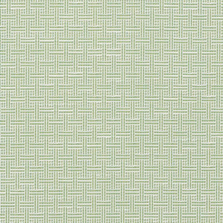 Brickell Indoor/Outdoor Leaf 75931 by Schumacher Designer Fabric Indoor/Outdoor: Prints & Wovens 1.0" - Swanky Fabrics -