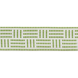 Brickell Tape Indoor/Outdoor Leaf 75961 by Schumacher Designer Trim