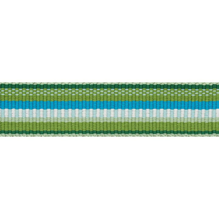Primavera Tape Narrow Meadow 75980 by Schumacher Designer Trim Indoor/Outdoor Prints & Wovens Iii - Swanky Fabrics -