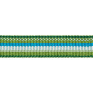 Primavera Tape Narrow Meadow 75980 by Schumacher Designer Trim