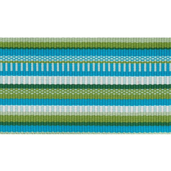 Primavera Tape Wide Meadow 75990 by Schumacher Designer Trim Indoor/Outdoor Prints & Wovens Iii - Swanky Fabrics -