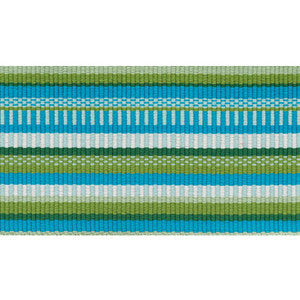 Primavera Tape Wide Meadow 75990 by Schumacher Designer Trim