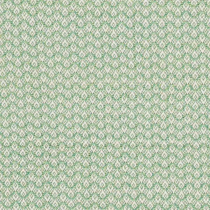 Crosby Leaf 76151 by Schumacher Designer Fabric Free Spirit 5.5" - Swanky Fabrics -