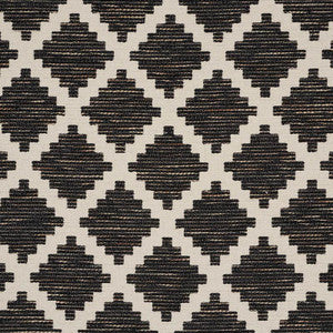 Tibur Black 76540 by Schumacher Designer Fabric