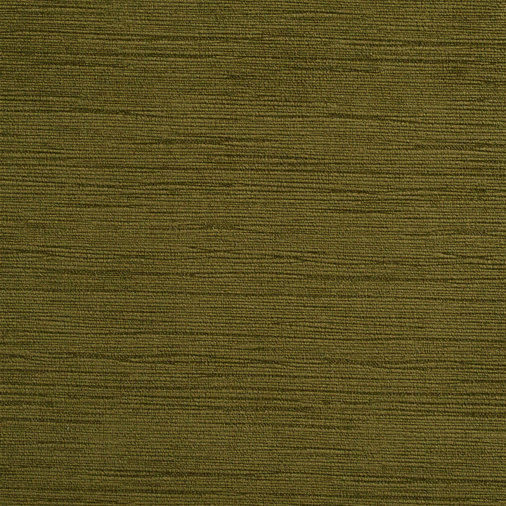 2175 Moss by Charlotte Designer Fabric Tapestry Classics 100% Woven Polyester Velvet Asia Exceeds 192,000 Wyzenbeek Rubs (Heavy Duty) No Repeat 54 Inches - Swanky Fabrics -