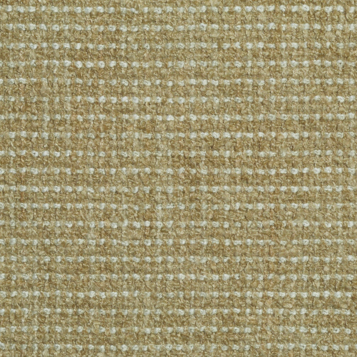 Vice Versa Tahini 114 by P Kaufmann Fabrics Designer Fabric